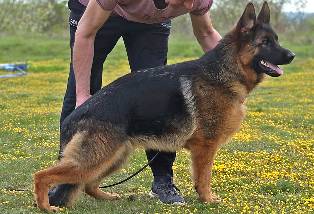 Eva vom Gröster Steinberg