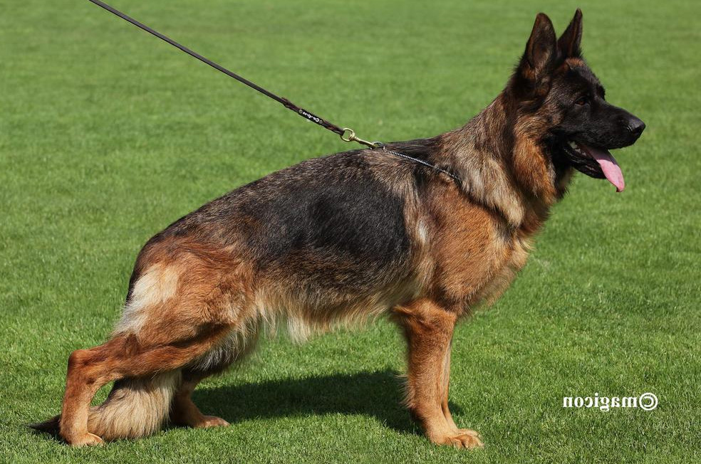 Chiara vom Grabfeldgau