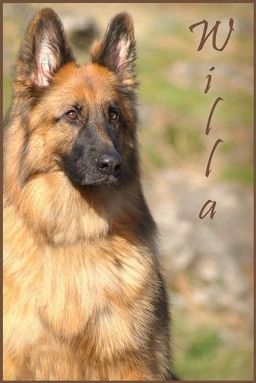 Willa Von Gunbil